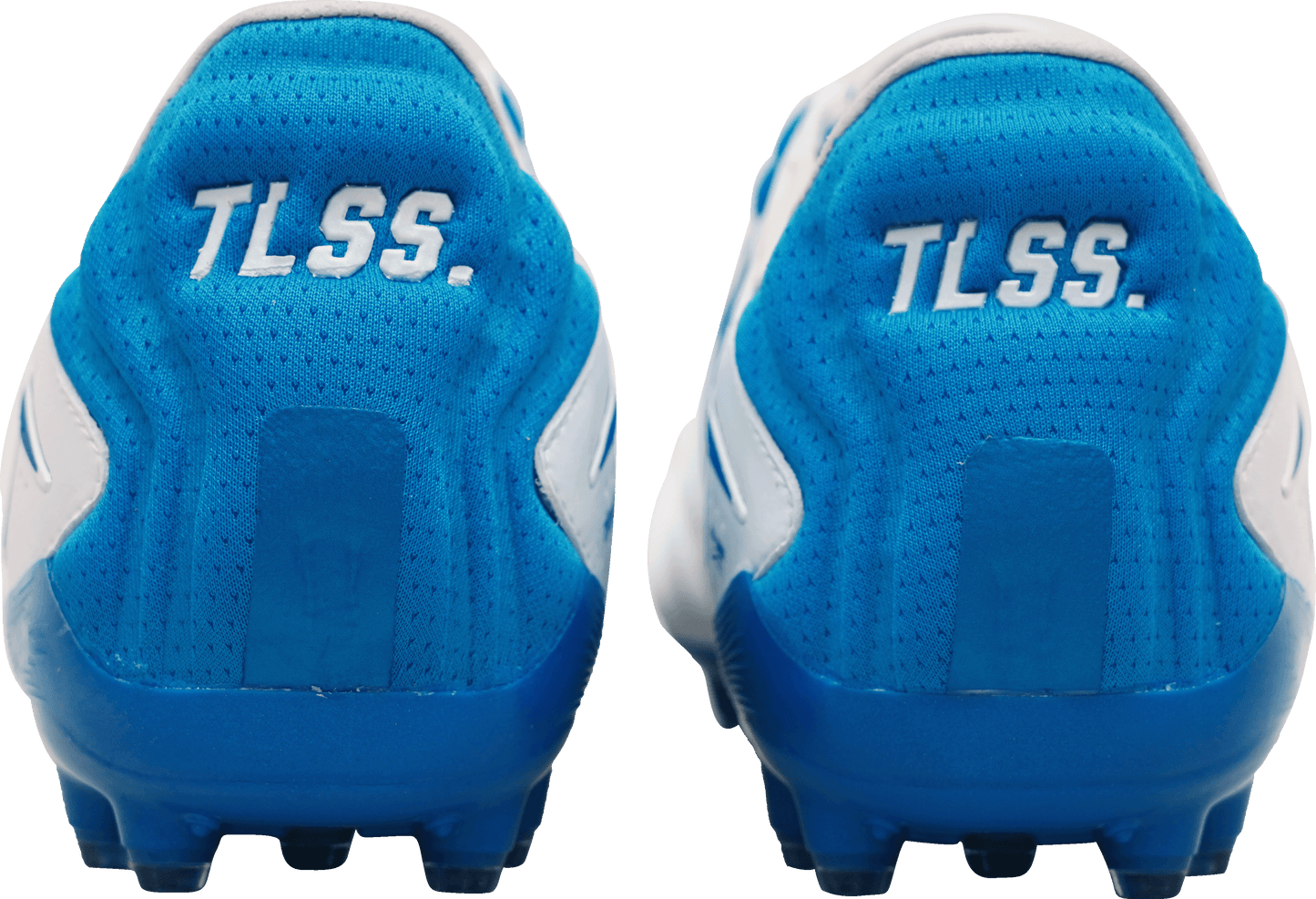 TLSS TACTICIAN GLINT ESSENCE MG